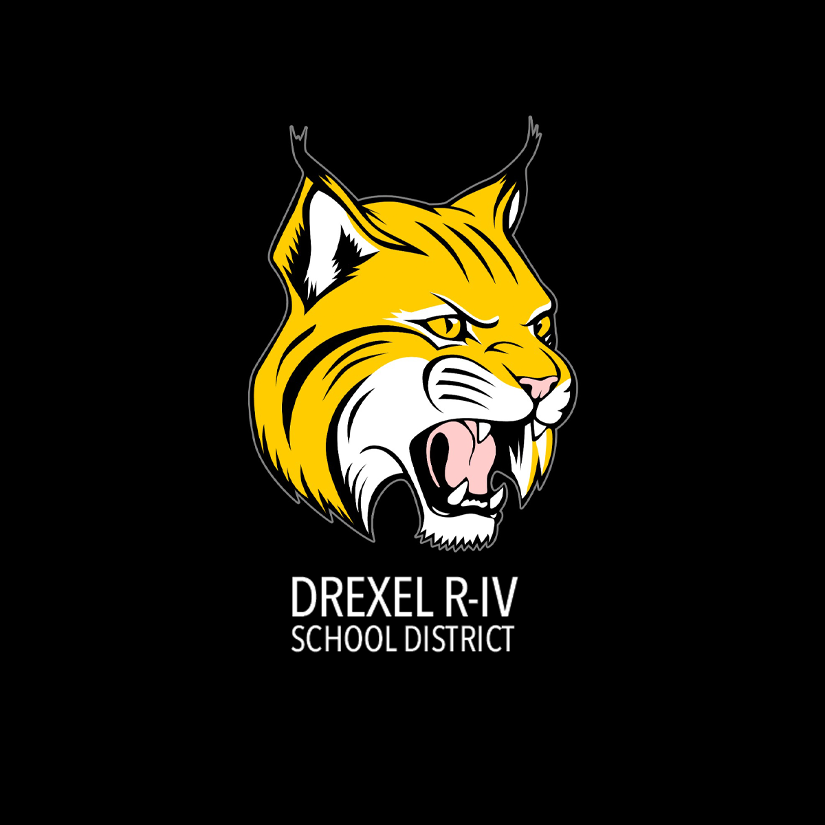 Article does not have an image